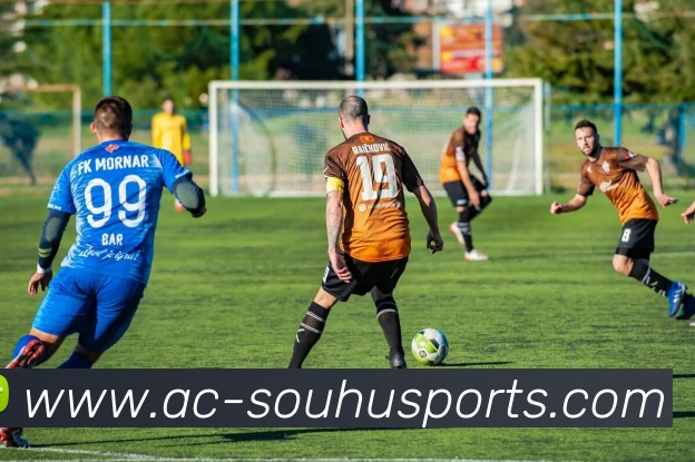 搜狐体育综合门户服务体系